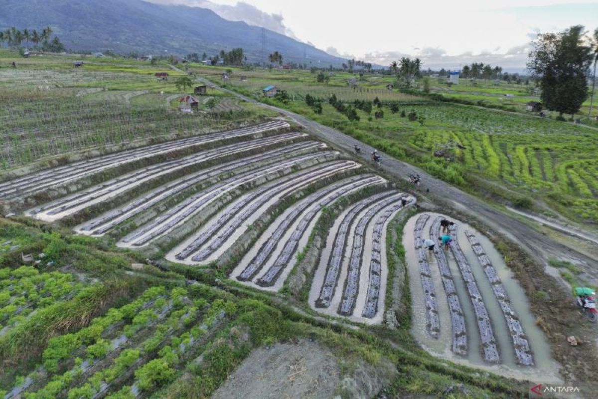 Perlindungan Lahan Pertanian Diperkuat, Kepastian Usaha Petani Makin Terjaga
